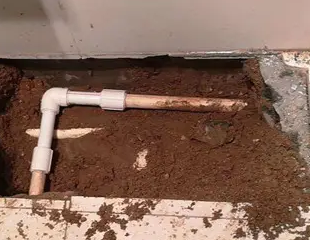 东城测漏水哪家好